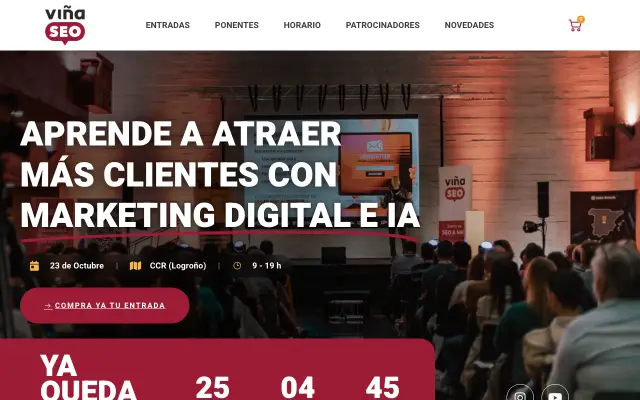 Page d'accueil du site de ViñaSEO